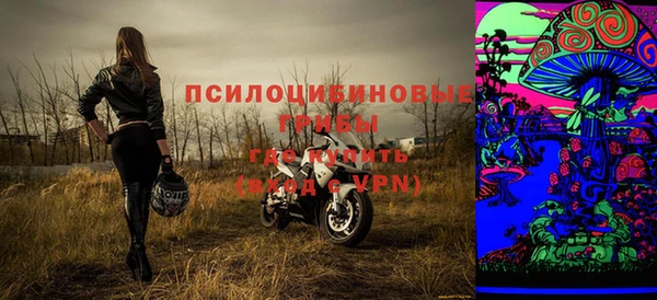 ешки Верхний Тагил