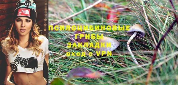 ешки Верхний Тагил