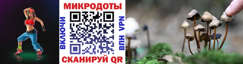Псилоцибиновые грибы мицелий omg сайт Ульяновск